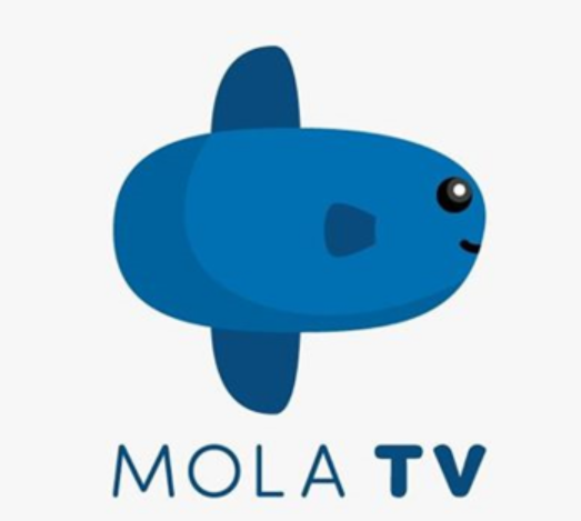 Kode Voucher Mola TV Gratis